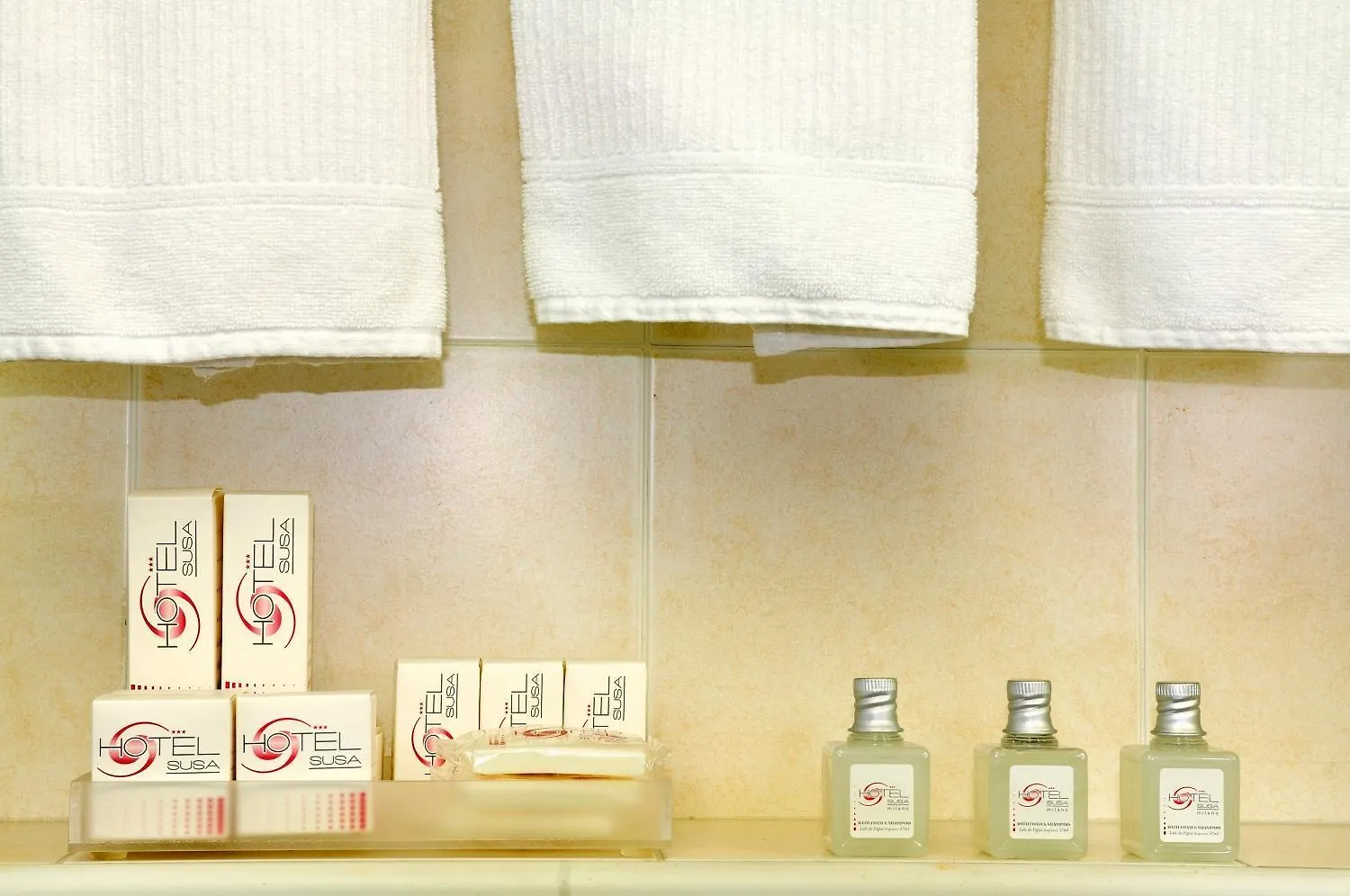 Hotel Susa Milano